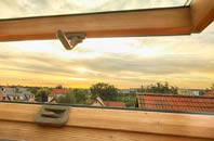 rated Horspath roof window companies
